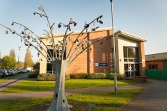 Image-35