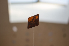 Image-48